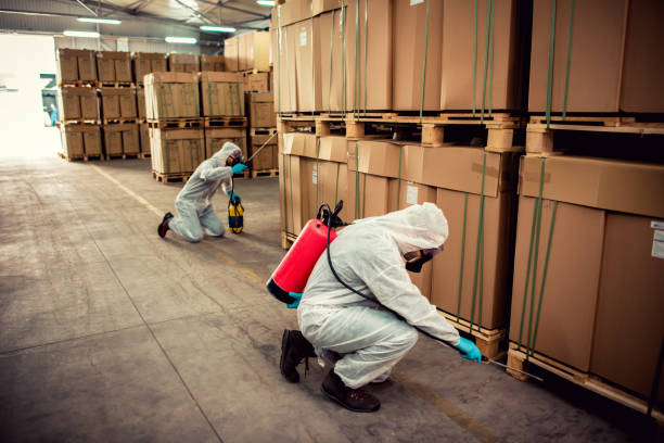 Best Wildlife Control Services  in Rockland, ME