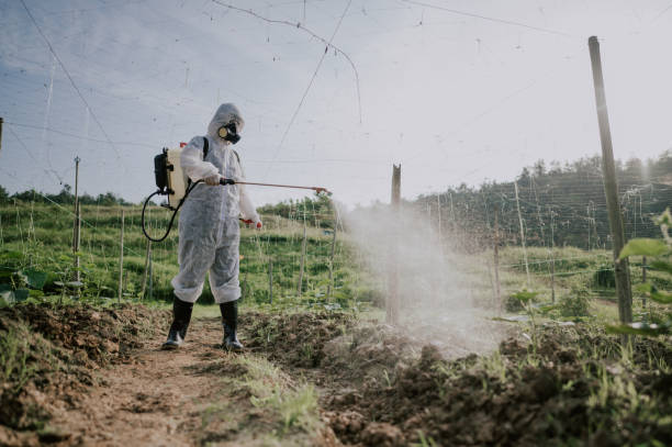 Best Pest Removal Services  in Rockland, ME