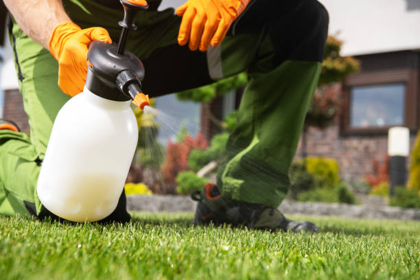 Trusted Rockland, ME Pest Control Experts