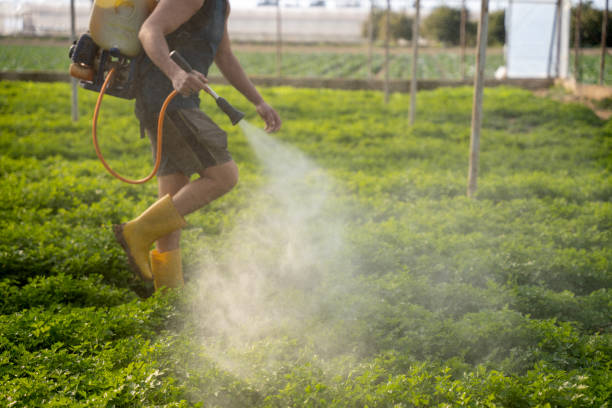 Best Commercial Pest Control Services  in Rockland, ME