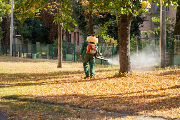 Best Best Pest Control Companies  in Rockland, ME